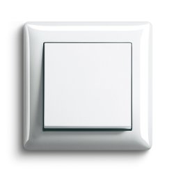 Gira Standard 55 Білий глянець